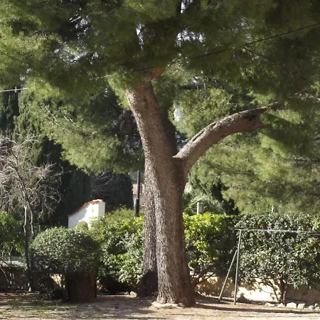 Les Loggias La Ciotat